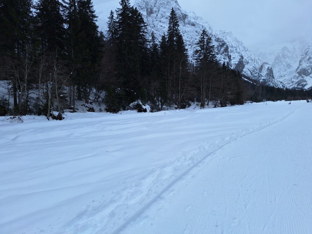 Panorami nordici con sullo sfondo il Montasio