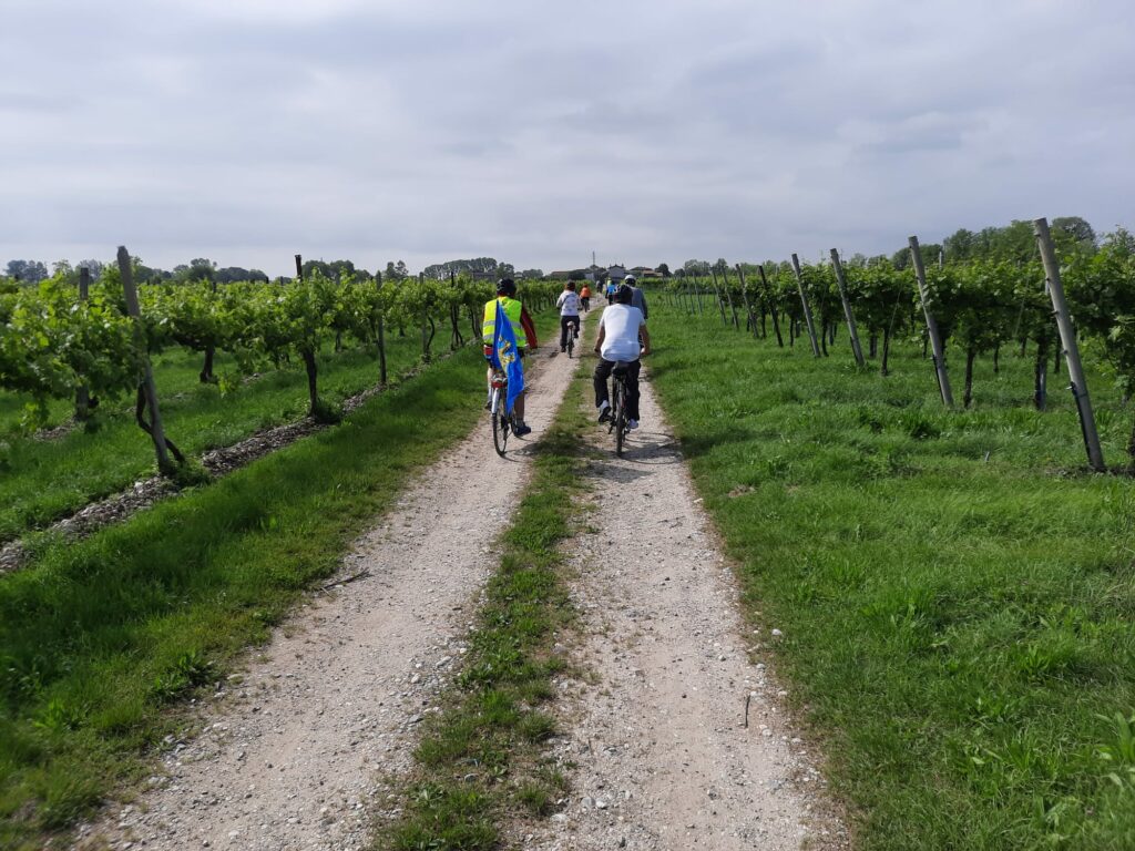 2 - Nella campagna verso San Vito