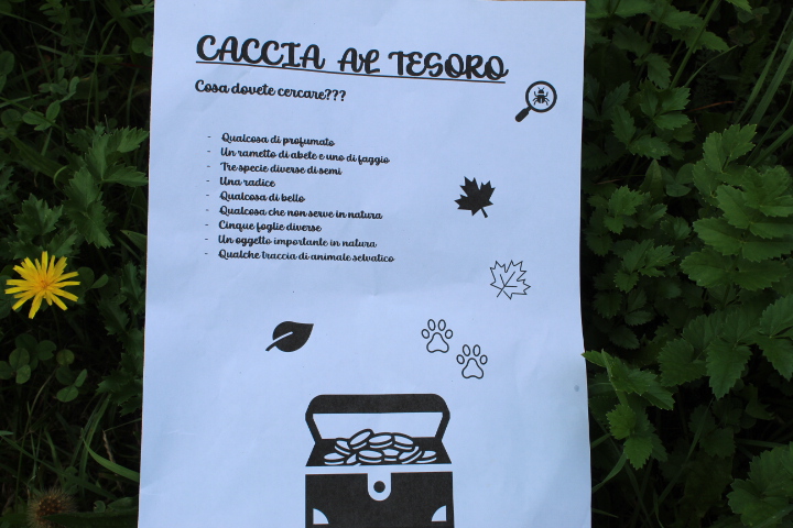 19 - La caccia al tesoro forestale