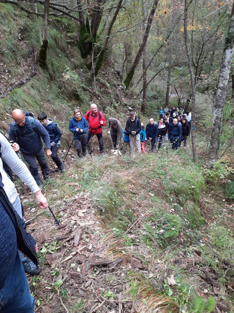 1 - Una parte dei partecipanti lungo il sentiero nella Foresta Ceconi