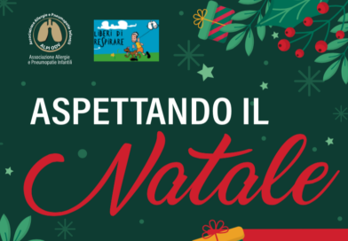 Festa ALPI – Aspettando il Natale – 7 dicembre 2024